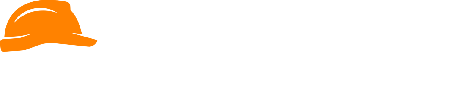 Partner 2